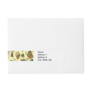 Bande Pour Adresse Coquillages de coquillages Mollusk Clam Élégant Ar