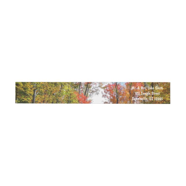 Bande Pour Adresse De Retour Automnes Arbres et Ciel bleu Automne Photographie  (Individuel)