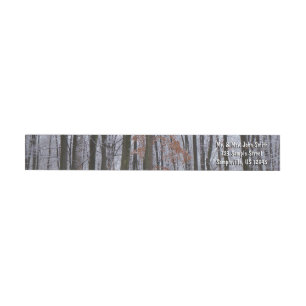 Bande Pour Adresse De Retour Forêt huppée neige paysage d'hiver Photographie