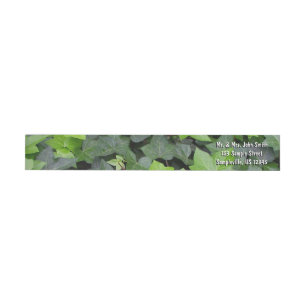 Bande Pour Adresse De Retour Impression botanique verte Ivy