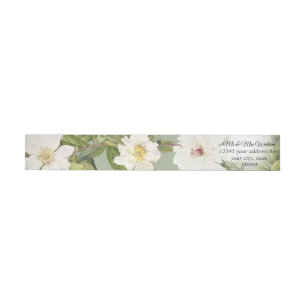 Bande Pour Adresse De Retour Pivoine florale botanique vintage blanche du vert