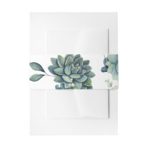 Bande de ventre succulente