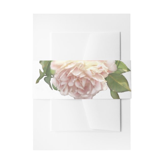 Bandeau De Faire-part Dusty Ivory blanc élégant Rose (Devant example)
