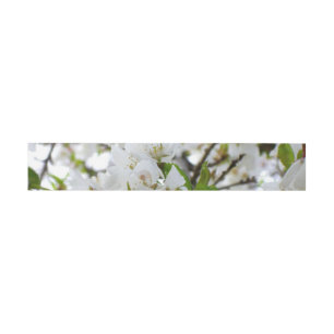 Bandeau De Faire-part Elégante photo de fleurs florales blanches