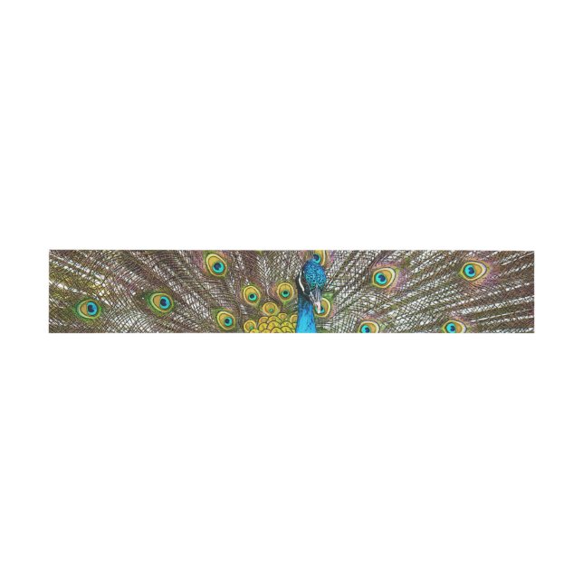 Bandeau De Faire-part Fiers Peacock Invitation Belly Bandes (Plat)