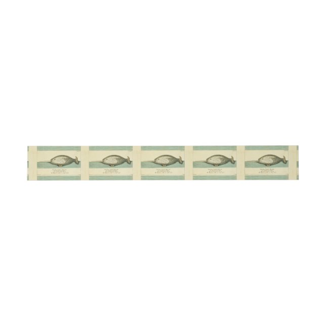 Bandeau De Faire-part Narwhal Antique Baleine Aquarelle Art scientifique (Plat)