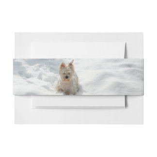 Bandeau De Faire-part Snow White Westie Chien Photo Invitation Bande de 