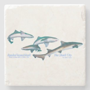 Banded houndsharks stone coaster