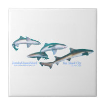 Banded houndsharks