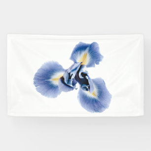 Banderole