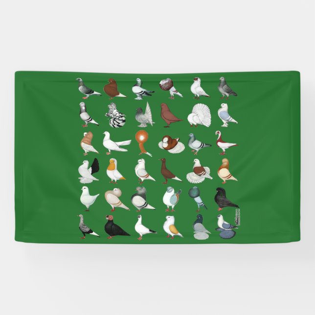 Banderoles 36 races de pigeon (Horizontal)