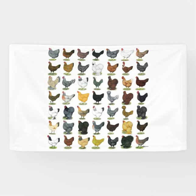 Banderoles 49 poules de poulet (Horizontal)