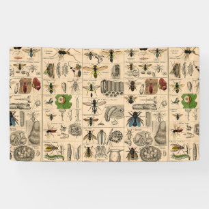 Banderoles Abeille Insecte Bug Wasp Nature Peinture des abeil