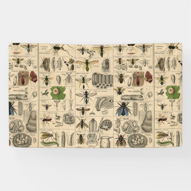 Banderoles Abeille Insecte Bug Wasp Nature Peinture des abeil (Horizontal)