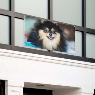 Banderoles Adorable chien mignon regardant dehors Artisanat G
