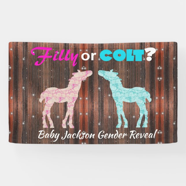 Banderoles Amusant "Filly ou Colt" Révélation de genre (Horizontal)