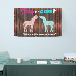 Banderoles Amusant "Filly ou Colt" Révélation de genre