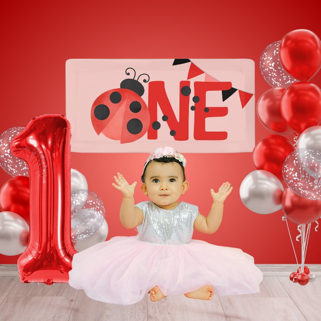 Banderoles Aquarelle rose UNE coccinelle Anniversaire Mini ba (Light Pink Salmon Mini Watercolor Ladybug ONE Hanging Vinyl Banner for Photoshoot or Cake Smash)
