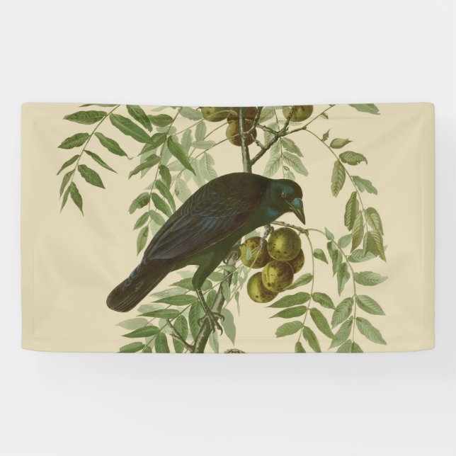 Banderoles Audubon American Crow Black Bird (Horizontal)