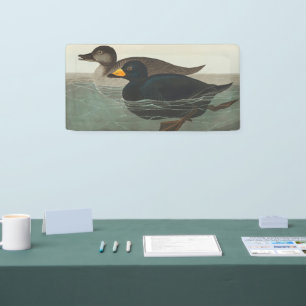 Banderoles Audubon American Scoter Duck Classic
