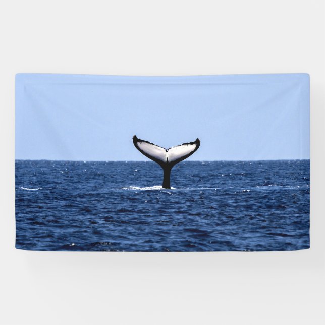 Banderoles Baleine à bosse en océan (Horizontal)
