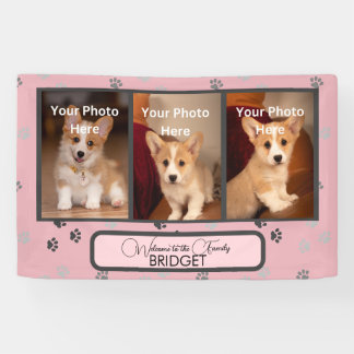 Banderoles Bienvenue Accueil Nouveau Chiot, Douche Chiot