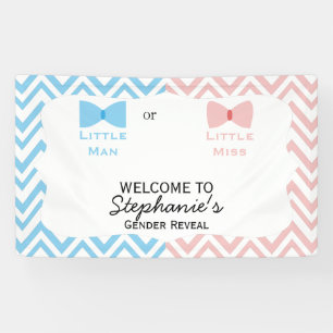 Banderoles Bleu, rose Chevron Genre Révéler Bow et Bow Cravat
