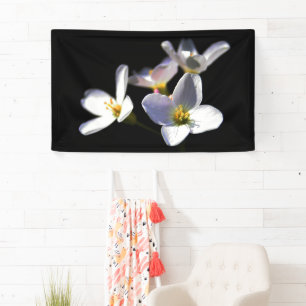 Banderoles Cardamine Pratensis Fleurs bnrcnm