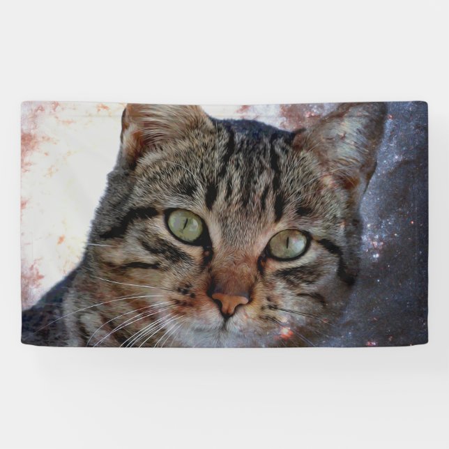 Banderoles Chat spatial (Horizontal)