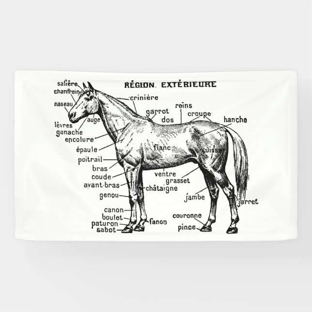 Banderoles Cheval (Horizontal)