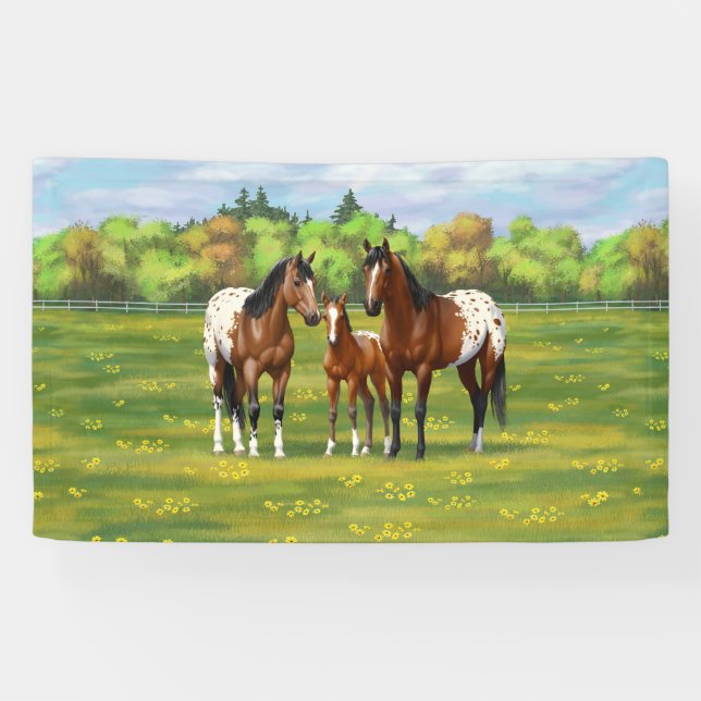 Banderoles Chevaux Appaloosa De Baie Brown En Pâturage D'Été (Horizontal)