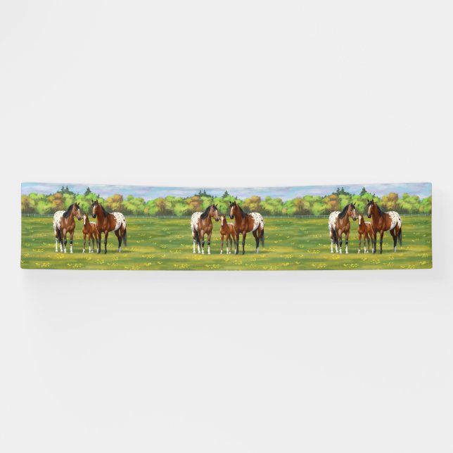 Banderoles Chevaux Appaloosa De Baie Brown En Pâturage D'Été (Horizontal)