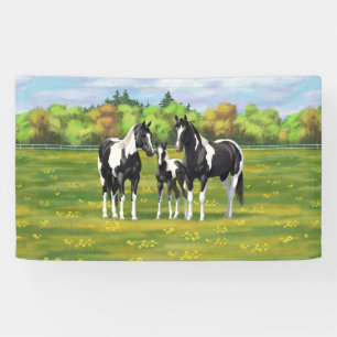 Banderoles Chevaux De Peinture De Pinto Noir En Pâturage Été