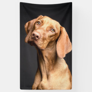 Banderoles Chien Beagle Brown animal