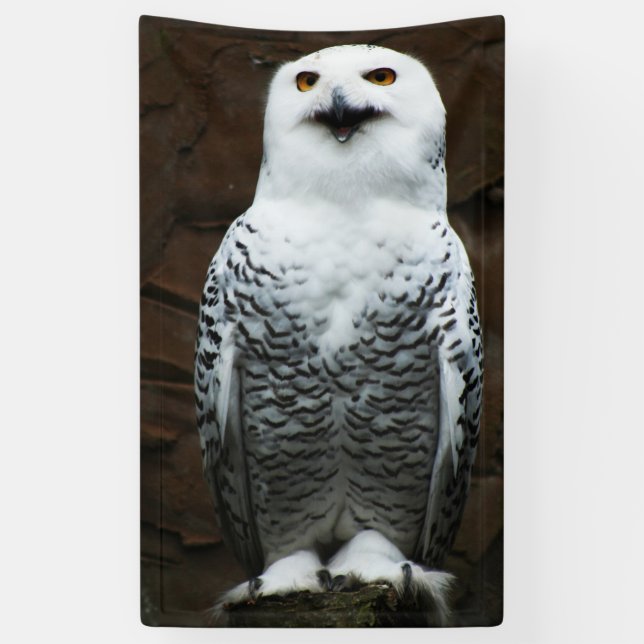 Banderoles Chouette des neiges bnrcnm (Vertical)