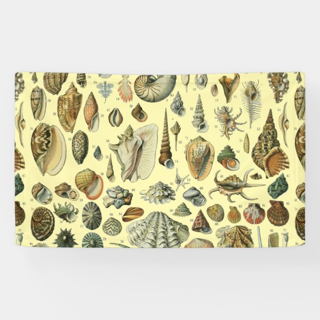Banderoles Coquillages de coquillages Mollusk Clam Élégant Ar (Horizontal)