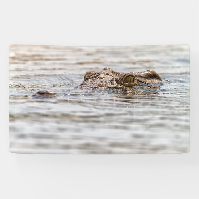 Banderoles Crocodile du Nil (Horizontal)