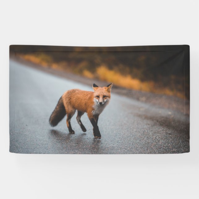 Banderoles de 91 cm x 152 cm (Horizontal)