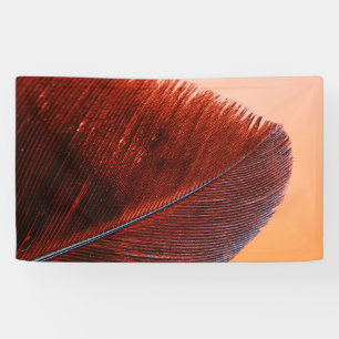 Banderoles de 91 cm x 152 cm