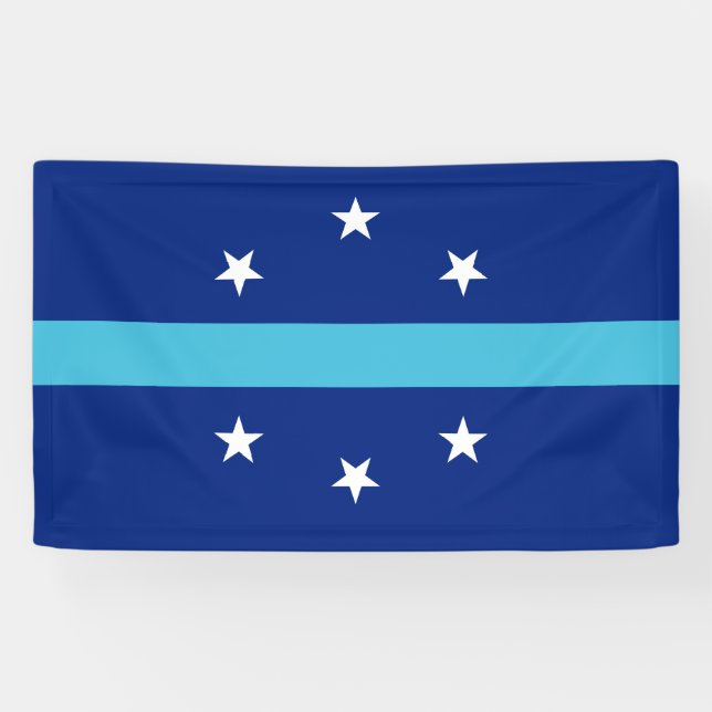 Banderoles Drapeau d'Anaheim (Californie, USA) (Horizontal)