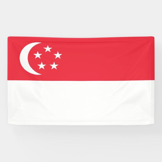 Banderoles Drapeau de Singapour (Horizontal)
