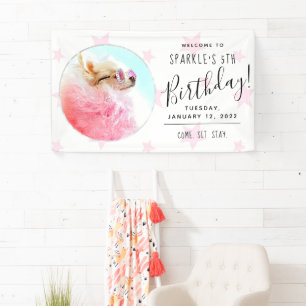 Banderoles Étoile pour animaux   Photo Chien Anniversaire Fêt