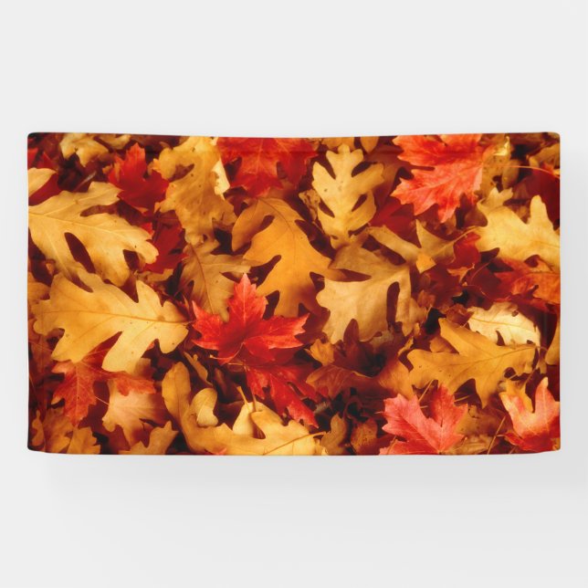 Banderoles Feuille d'automne - couleur d'automne (Horizontal)