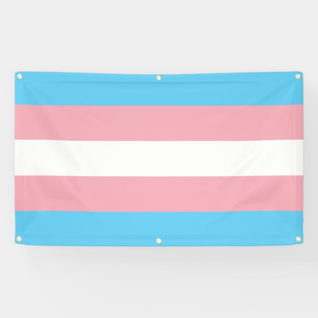 Banderoles Fierté de transsexuel (Horizontal)