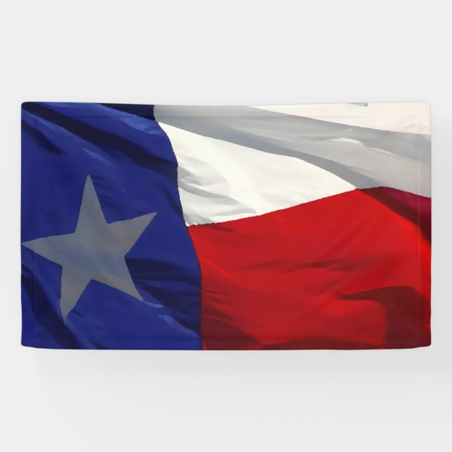 Banderoles Flag of Texas Pop Art (Horizontal)