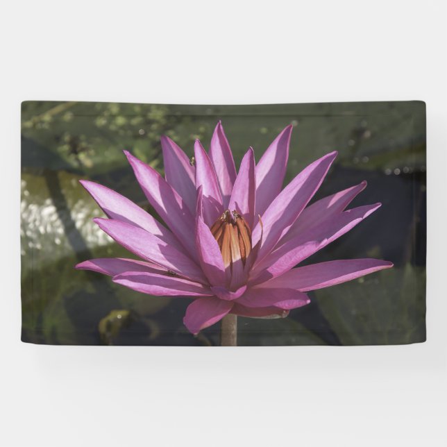 Banderoles Fleur de Lotus (Horizontal)