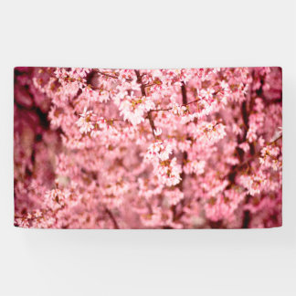 Banderoles Fleurs de cerisier de Sakura
