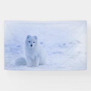 Banderoles Fox arctique de l'Islande