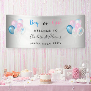 Banderoles Genre révéler la fête garçon fille bleu rose argen