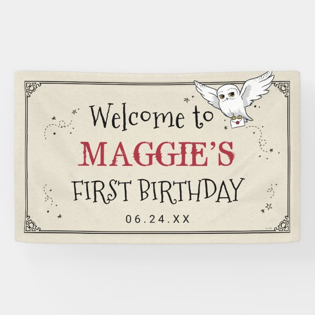 Banderoles Harry Potter | Hedwig Special Delivery Birthday (Horizontal)